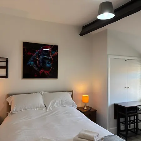 The Olivia Swan Deighton